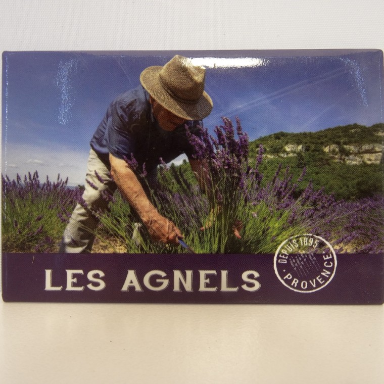 Magnet des AGNELS (Décor Cueilleur de Lavande)